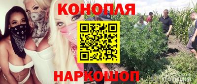 мдма Моздок