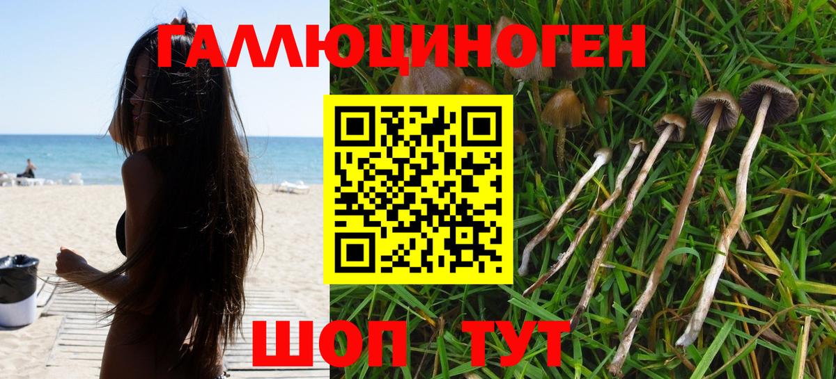 Псилоцибиновые грибы Cubensis Новоуральск